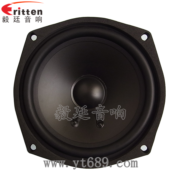 5寸30w中低音音箱喇叭正面图