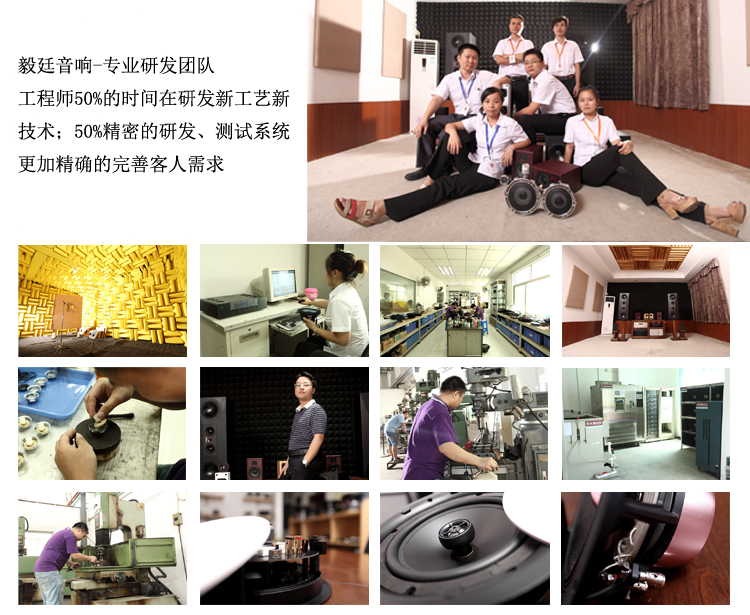 31mm全频蓝牙音箱喇叭生产厂家研发团队