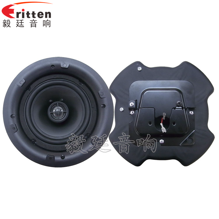 8''250w 重低音喇叭正反面